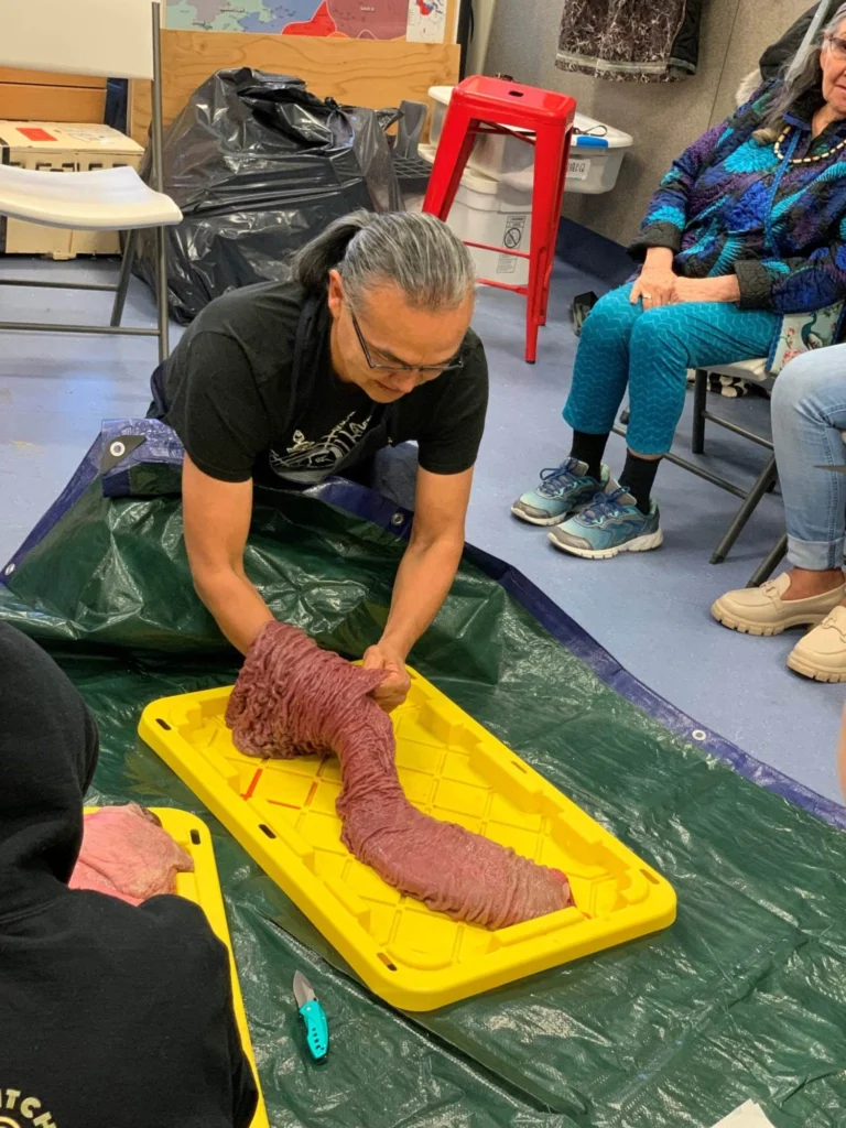 Ossie Kairaiuak expertly inverts a walrus stomach, demonstrating a traditional technique with precision and care. Photo courtesy Ellen Carrlee.